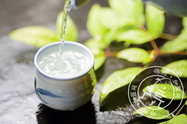 五粮液现代人酒怎么样