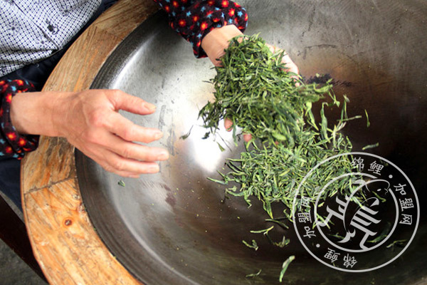 三千茶农茶叶到底怎么样