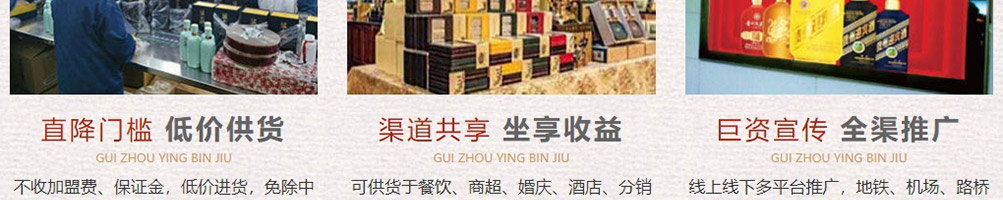 贵州迎宾酒加盟
