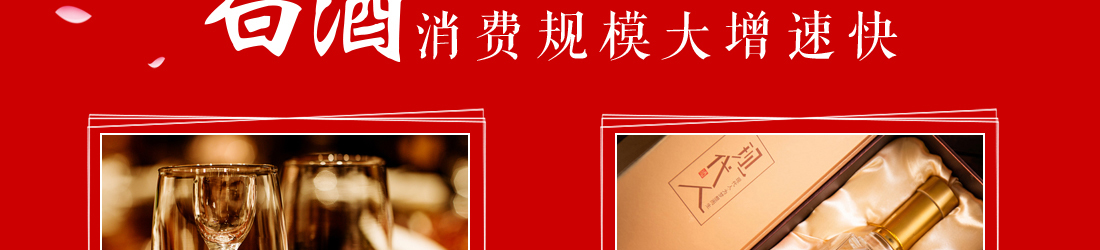 现代人五粮液加盟