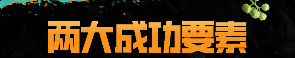 鱼状元烤鱼加盟